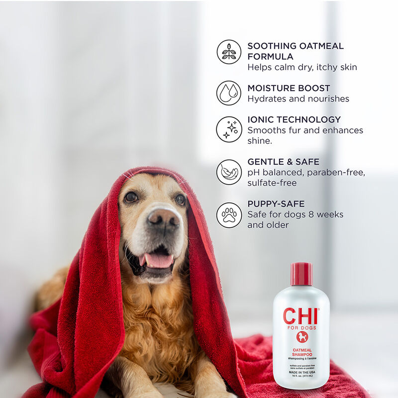 CHI For Dogs Oatmeal Shampoo, , large image number null
